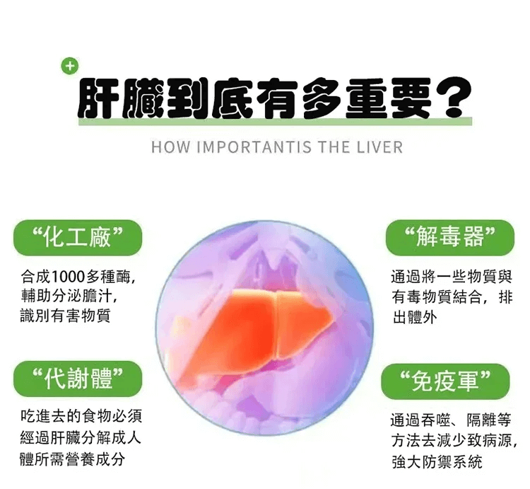 葛根靈芝片