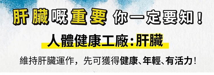葛根靈芝片