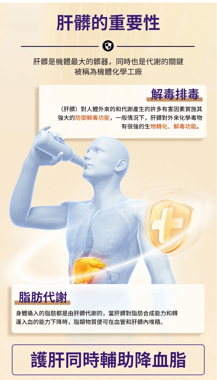 葛根靈芝片