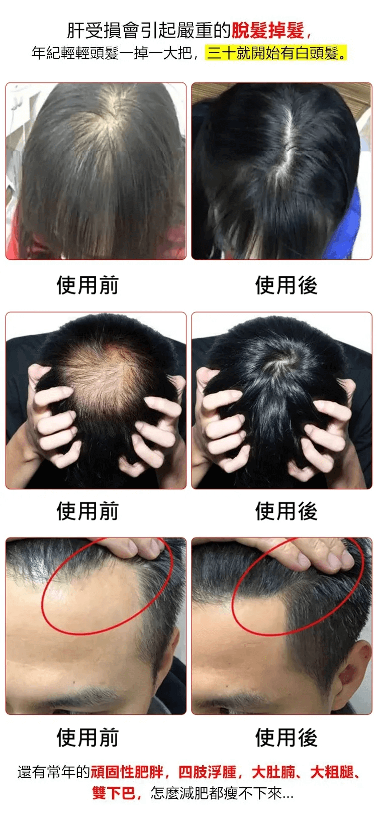 葛根靈芝片
