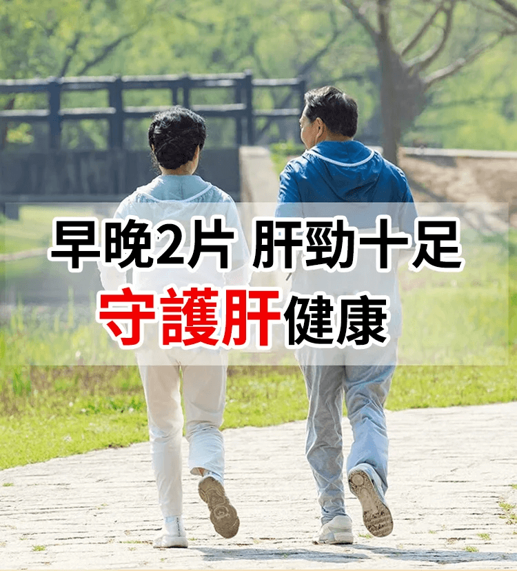 葛根靈芝片